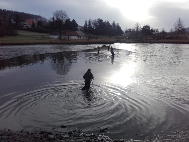 Gartenteich abfischen Frühling 2018 Gartenteich Abfischen Frühling