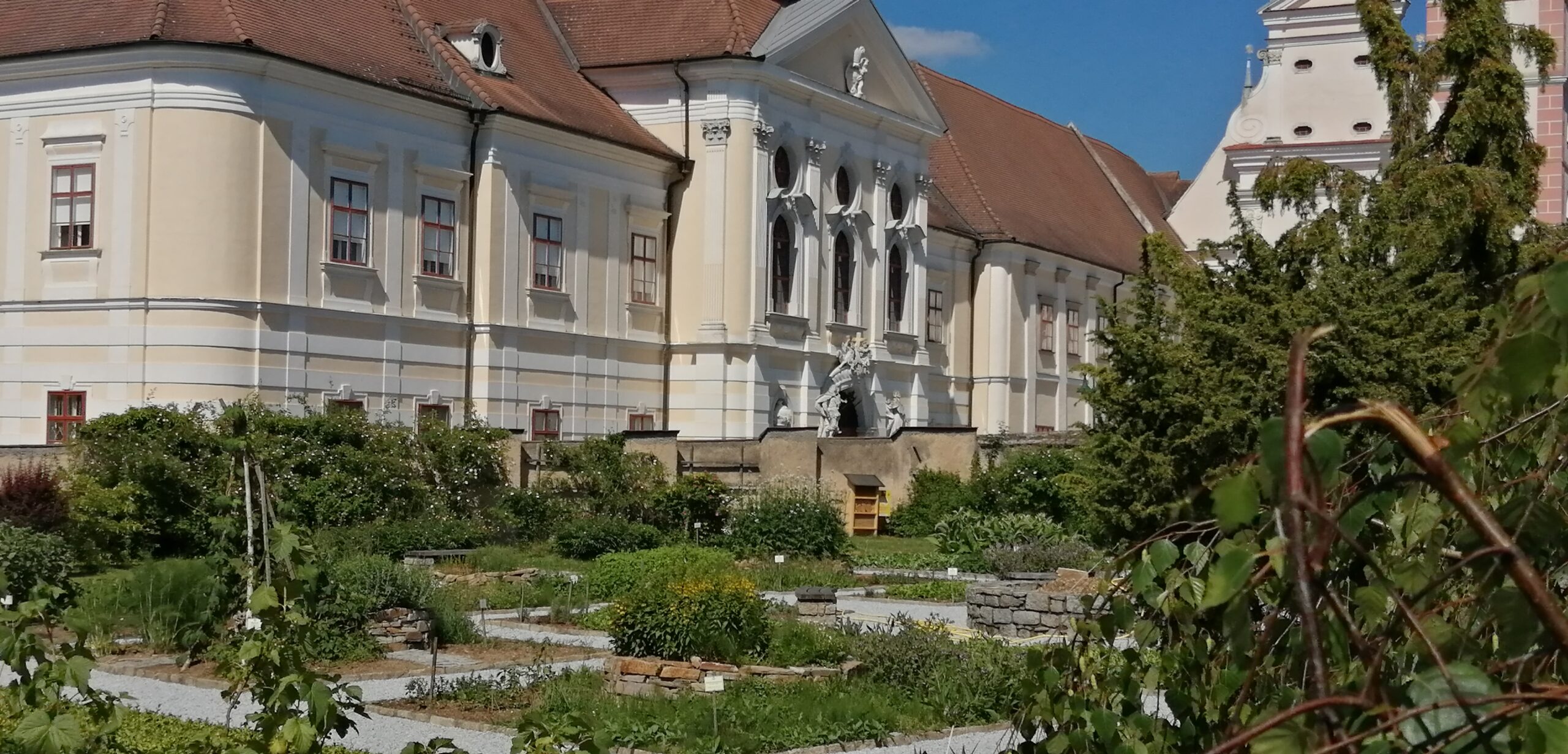 Heilkräutergarten Stift Geras – praktische Tipps – Sonntag, 15. Juni