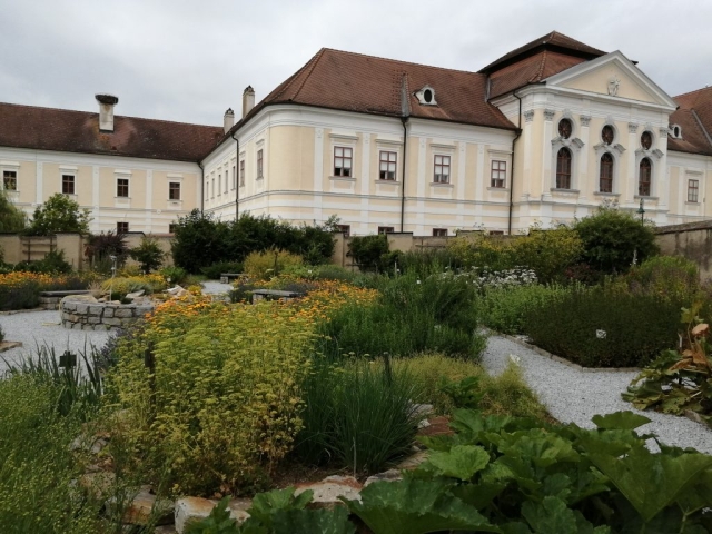 Kloster Geras -Kräutergarten Sommer